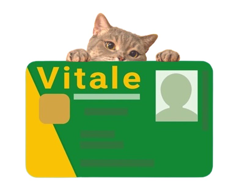 Assurance Mutuelle pour Chat-🐈 Catgrip🐾🥰