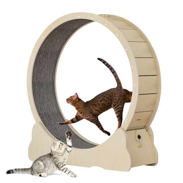 Roue pour Chat avec moquette