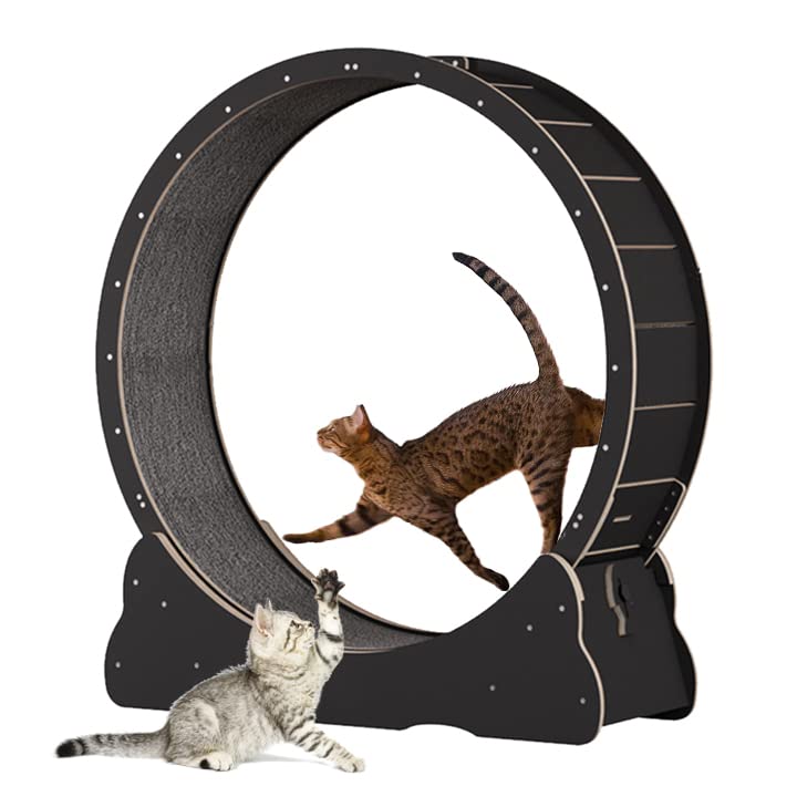 Roue pour Chat 100 cm