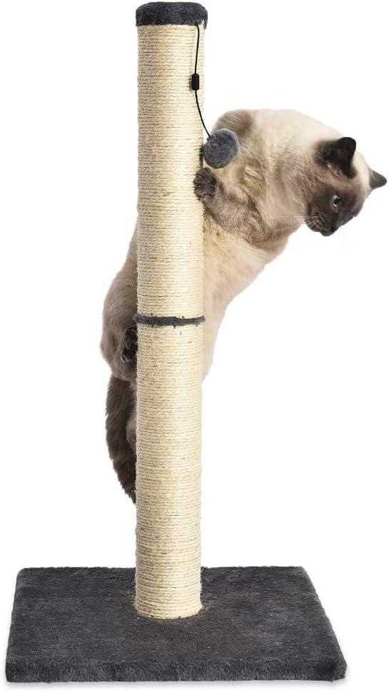 Arbre à chat 80 cm