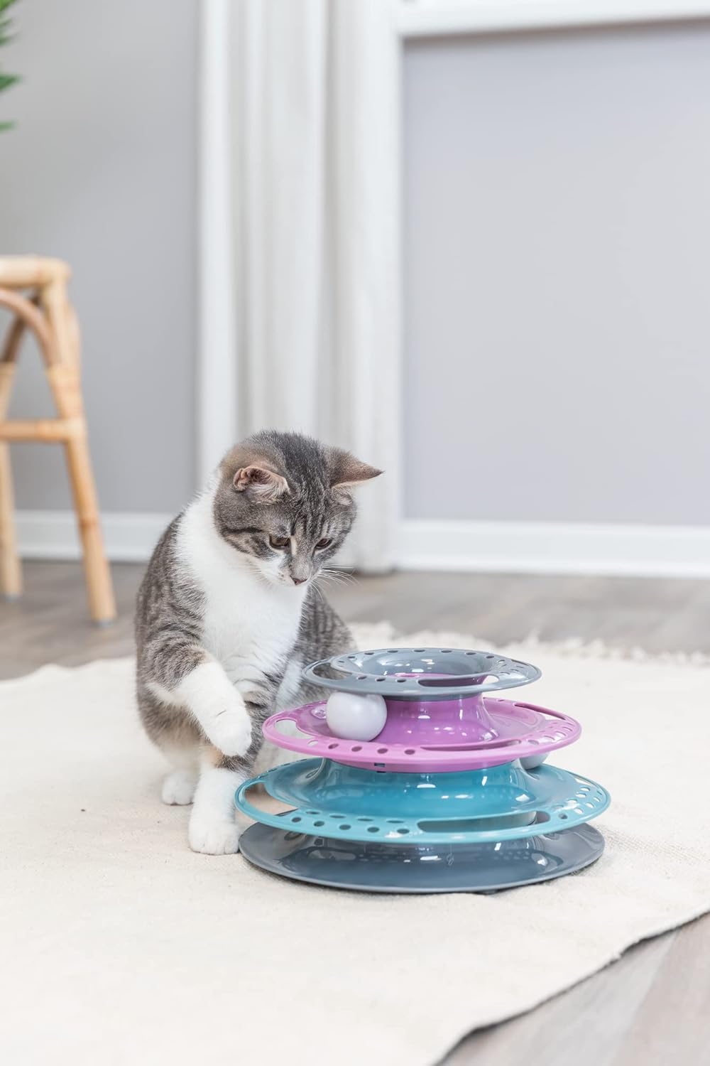 Jouet pour Chat Ø 25 × 13 cm