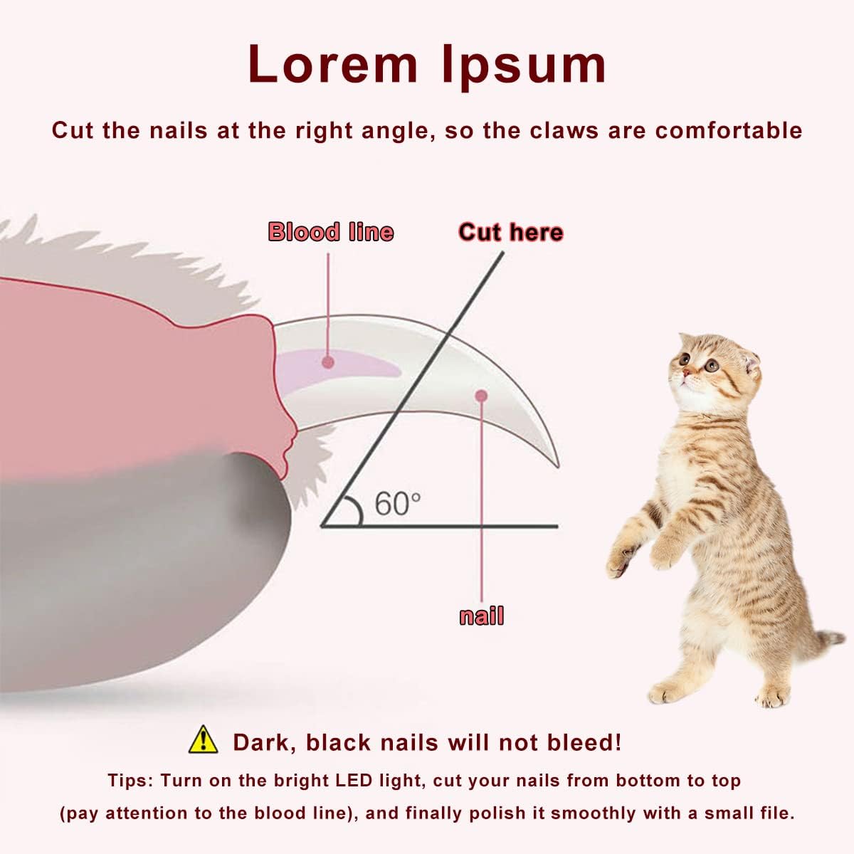 Coupe Griffes Chat LED