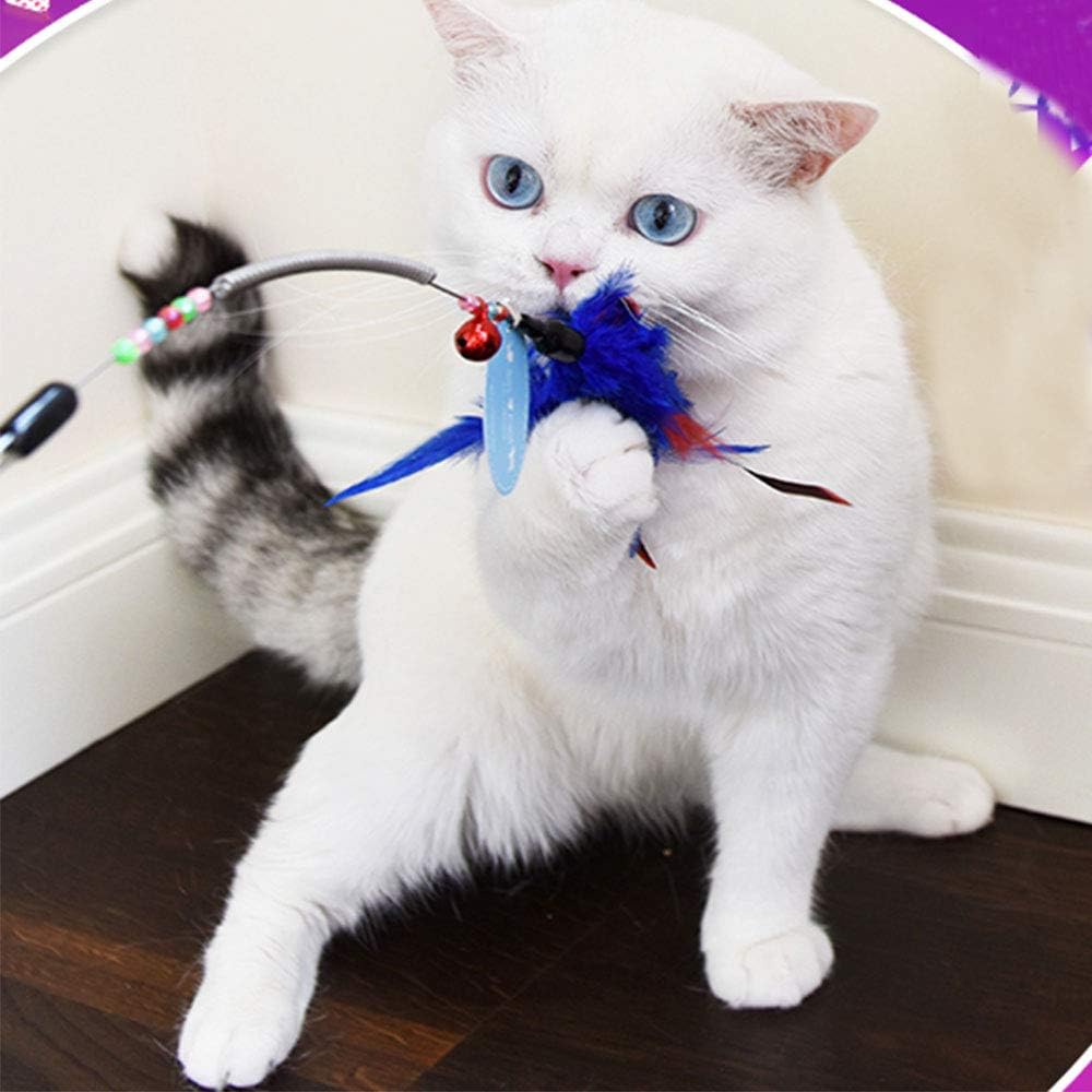 Jouet pour Chat Lot de 6