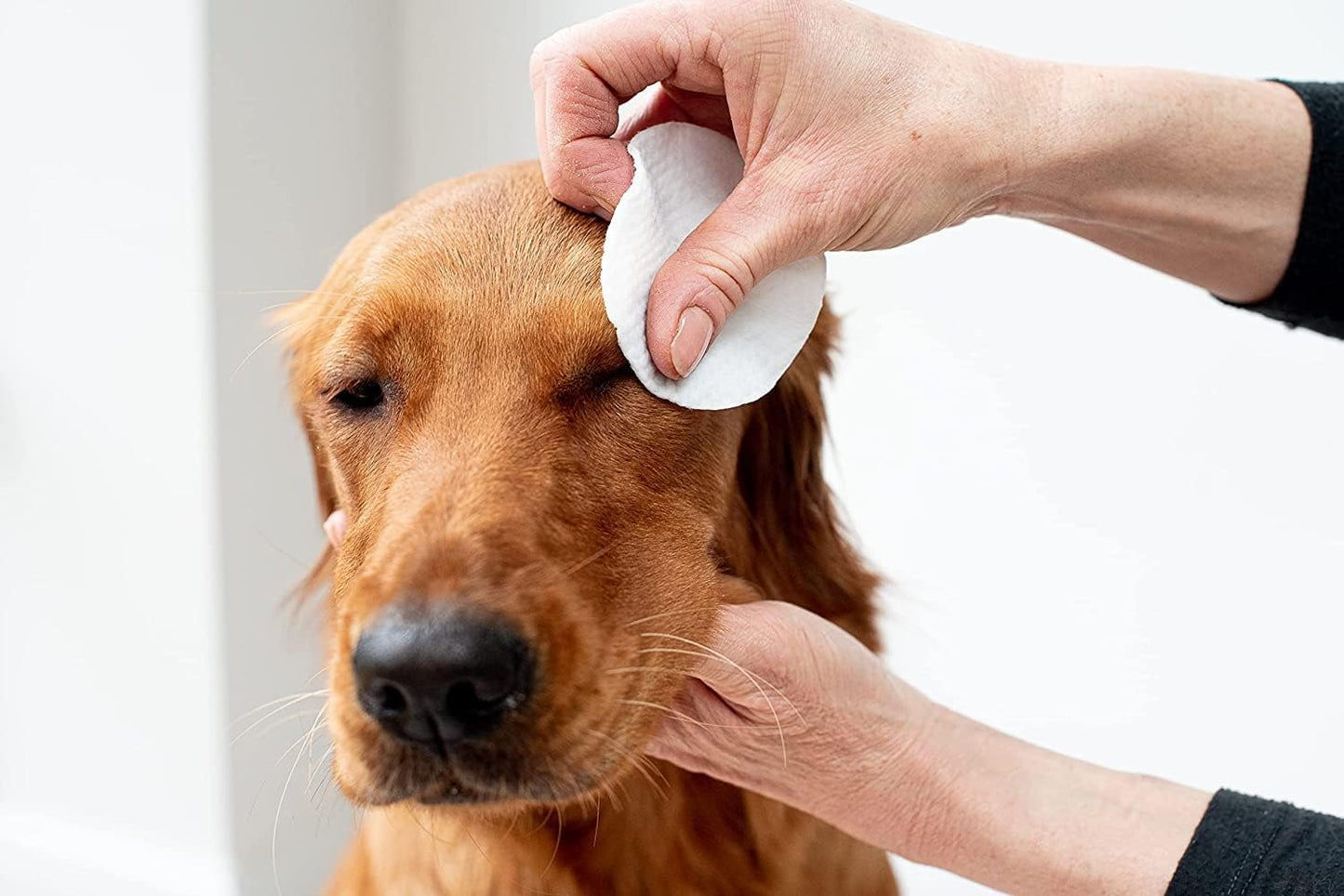 Lingettes pour Chat - Yeux à l'aloe Vera 240 Lingettes