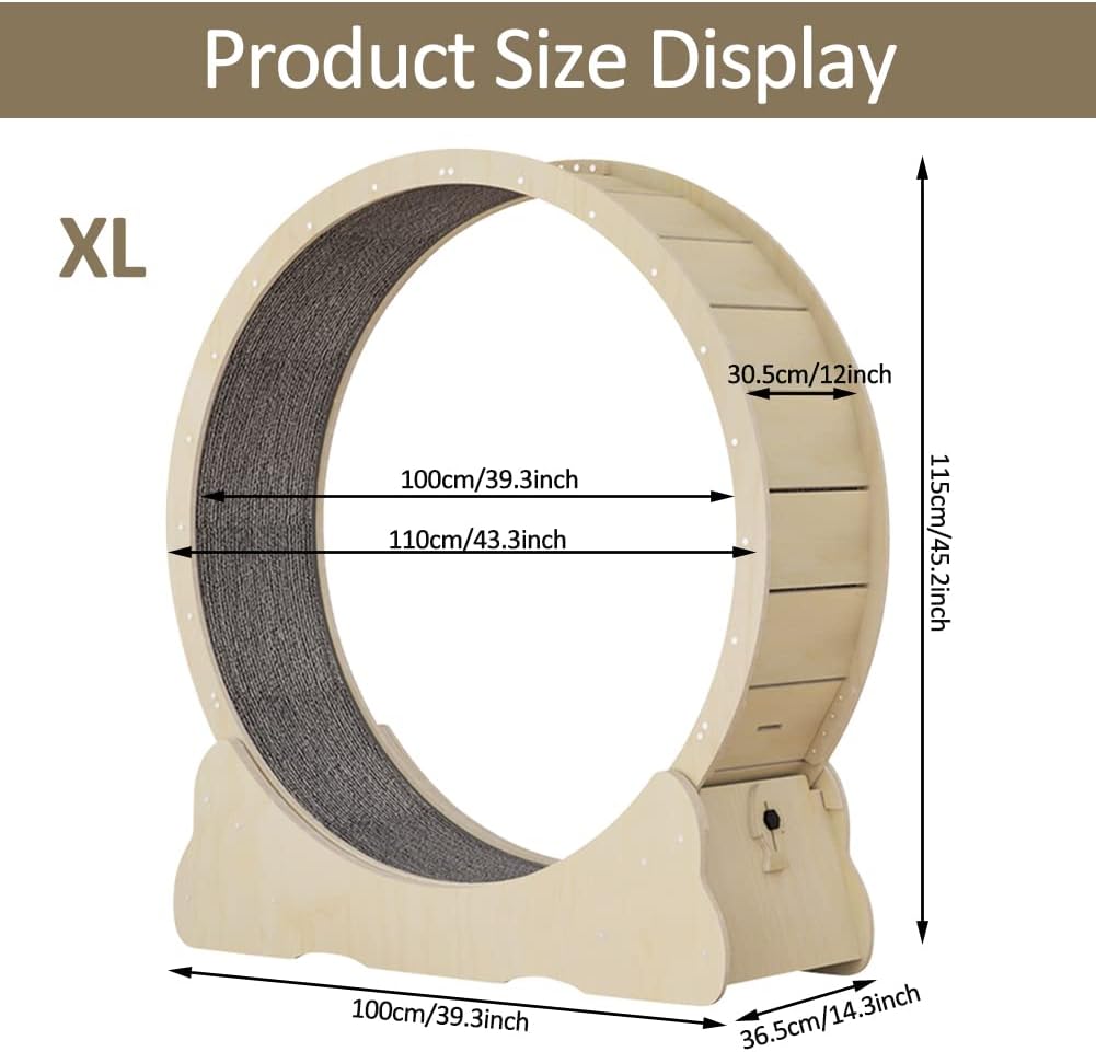 Roue pour Chat avec moquette
