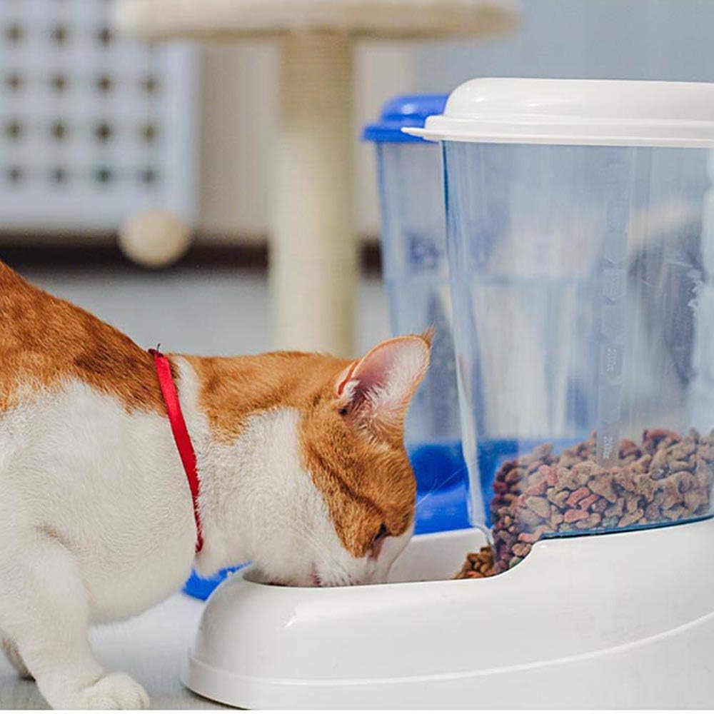 Distributeur Croquettes Chat 3L sans électricité