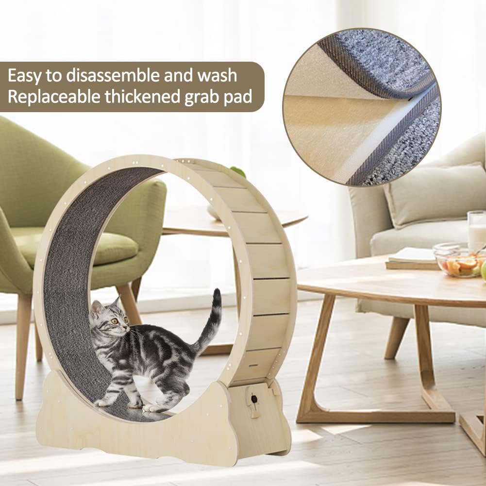 Roue pour Chat avec moquette
