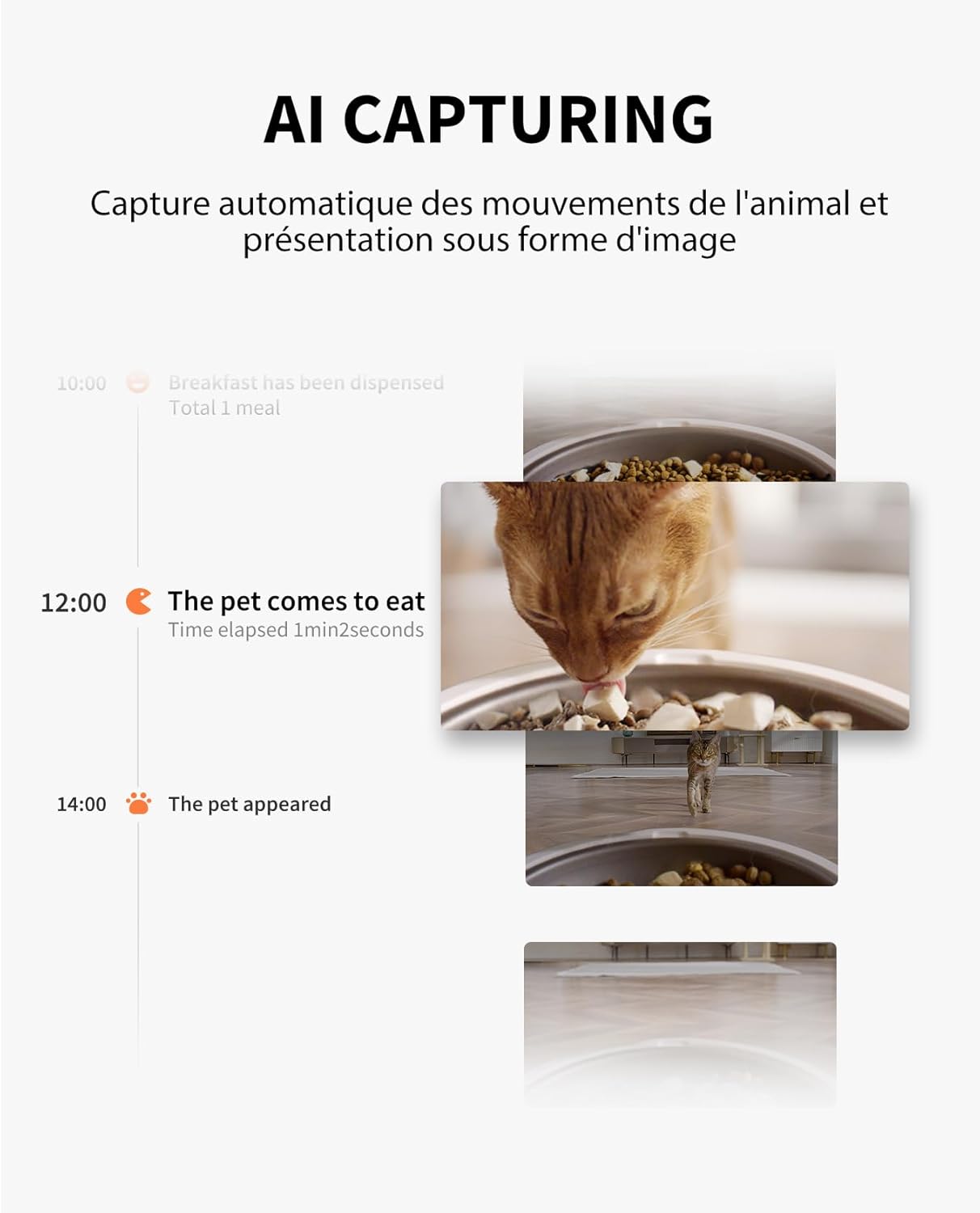Distributeur Croquettes Chat 5 Repas par Jour