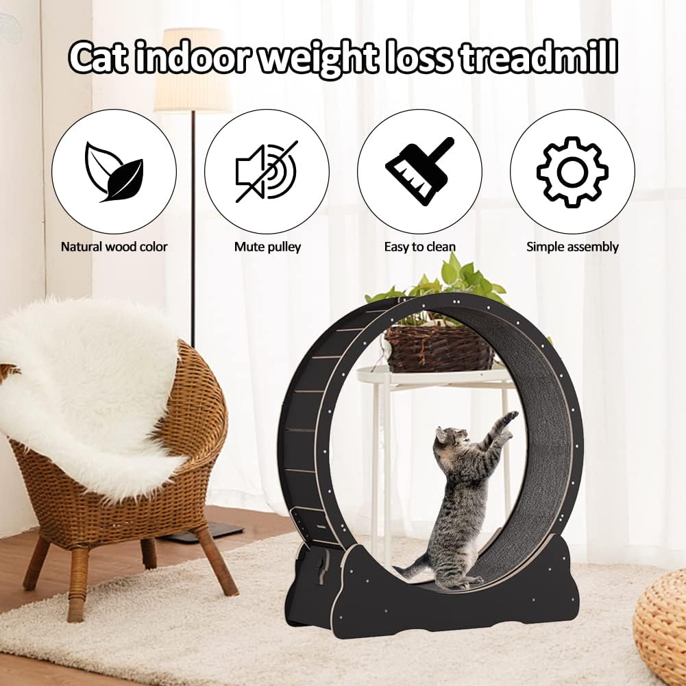Roue pour Chat 100 cm
