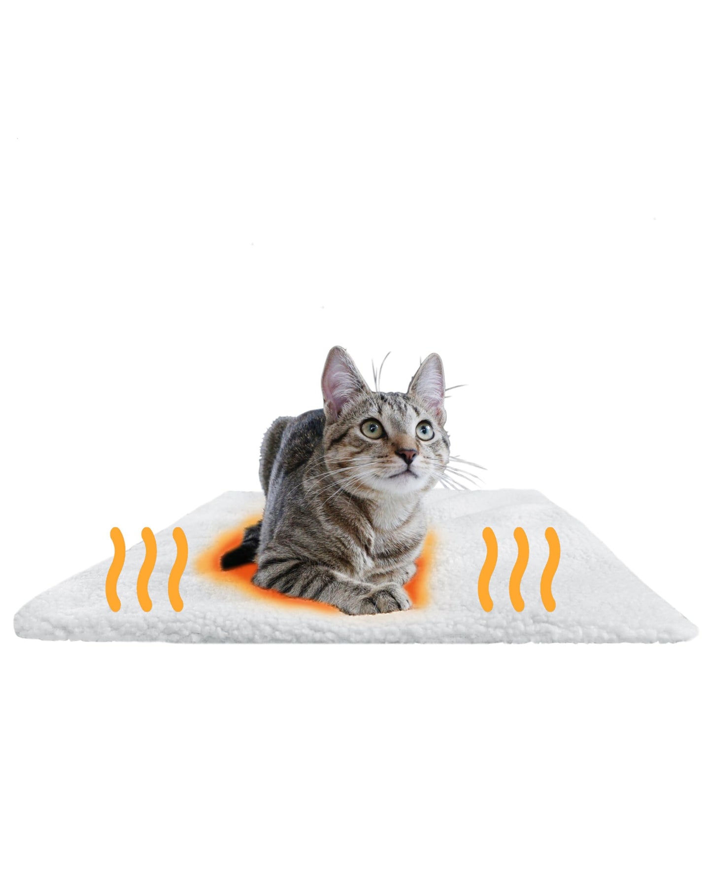 Panier Chat Coussin Auto-Chauffant 60x45cm