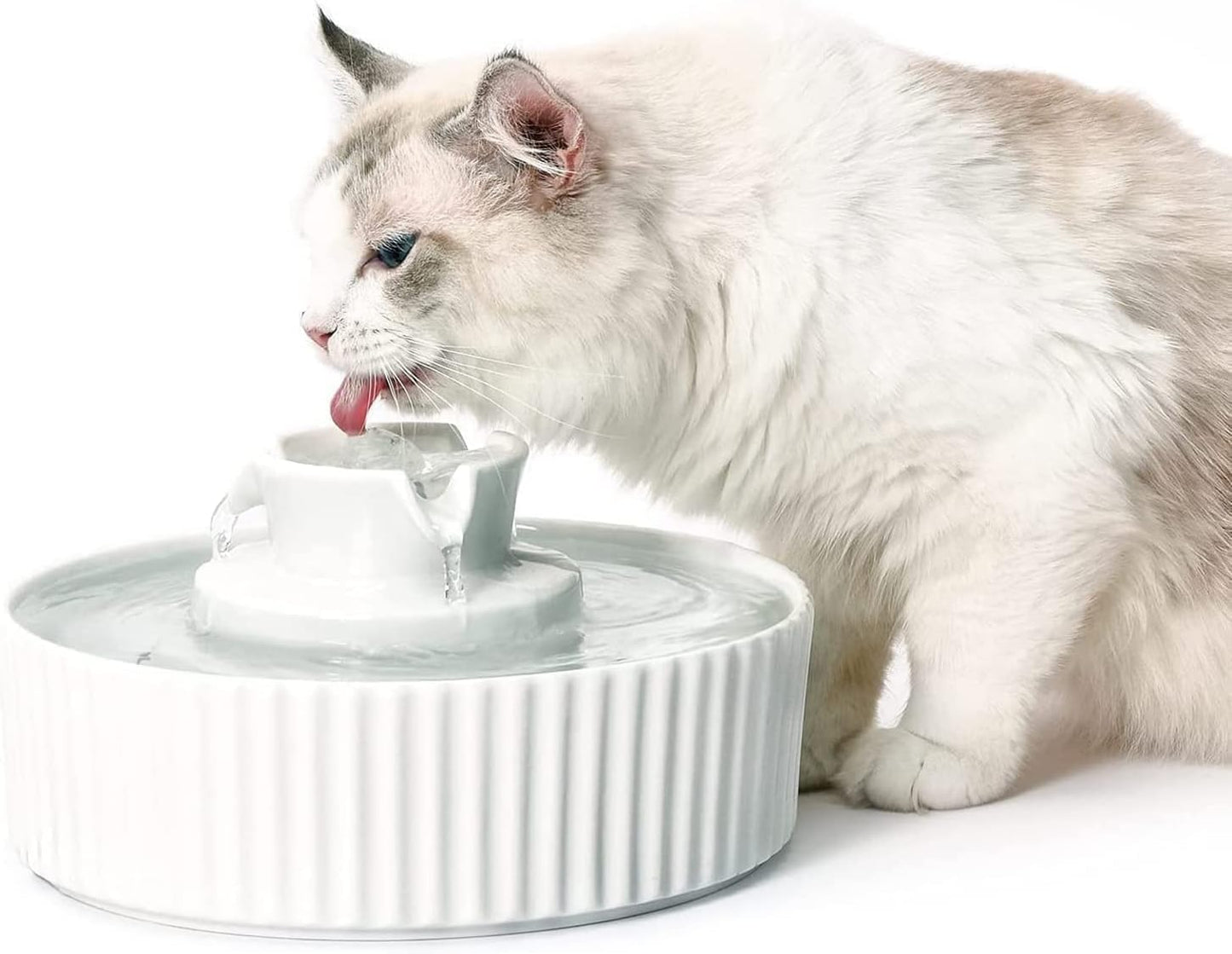 Fontaine à Eau Chat Céramique 2.1L