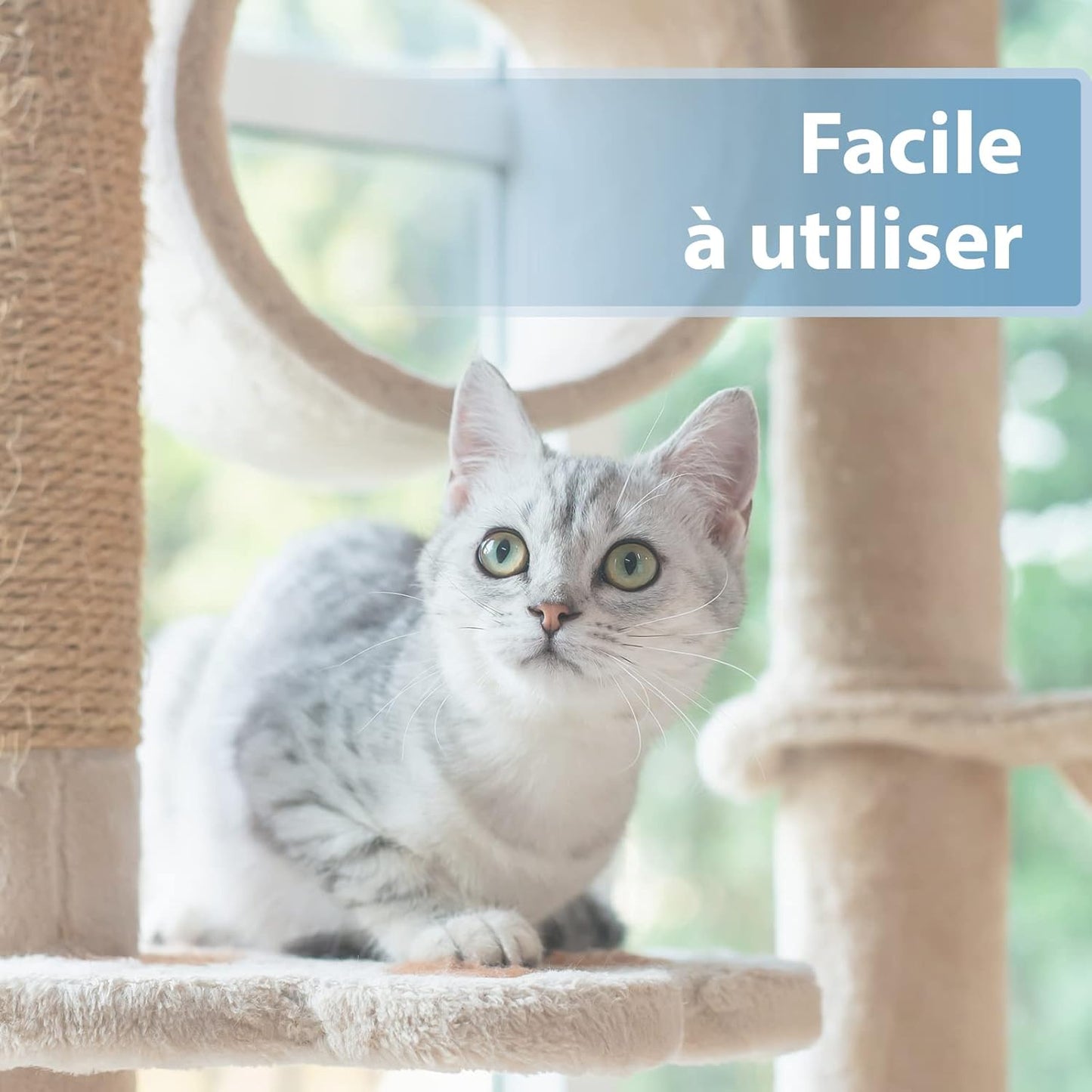 Lingette pour Chat Doigtiers De Soin Auriculaire 50 pcs