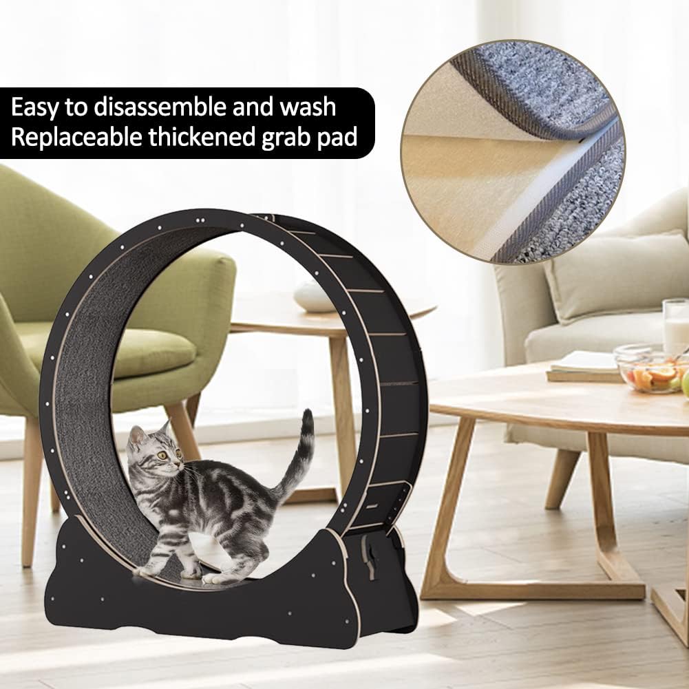 Roue pour Chat 100 cm