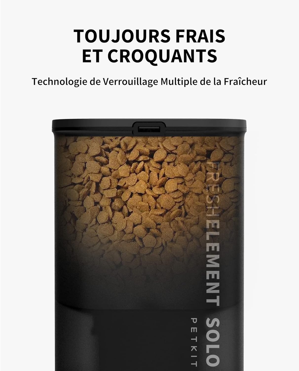 Distributeur Croquettes Chat 3L