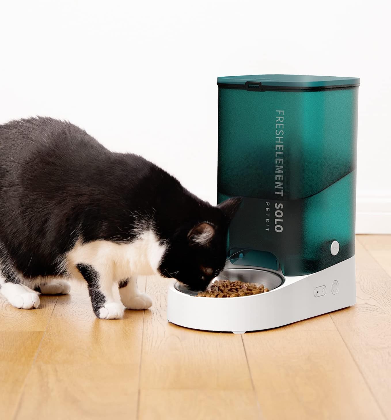 Distributeur Croquettes Chat 3L