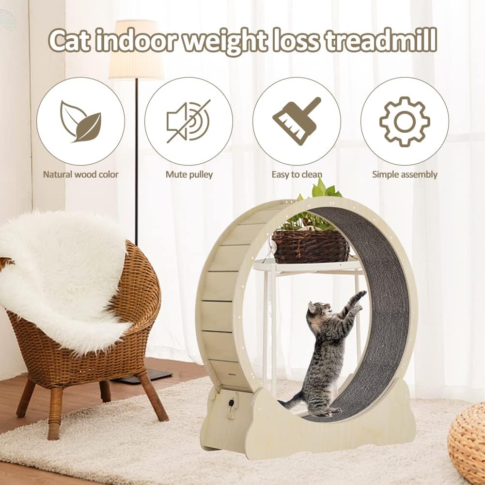 Roue pour Chat avec moquette