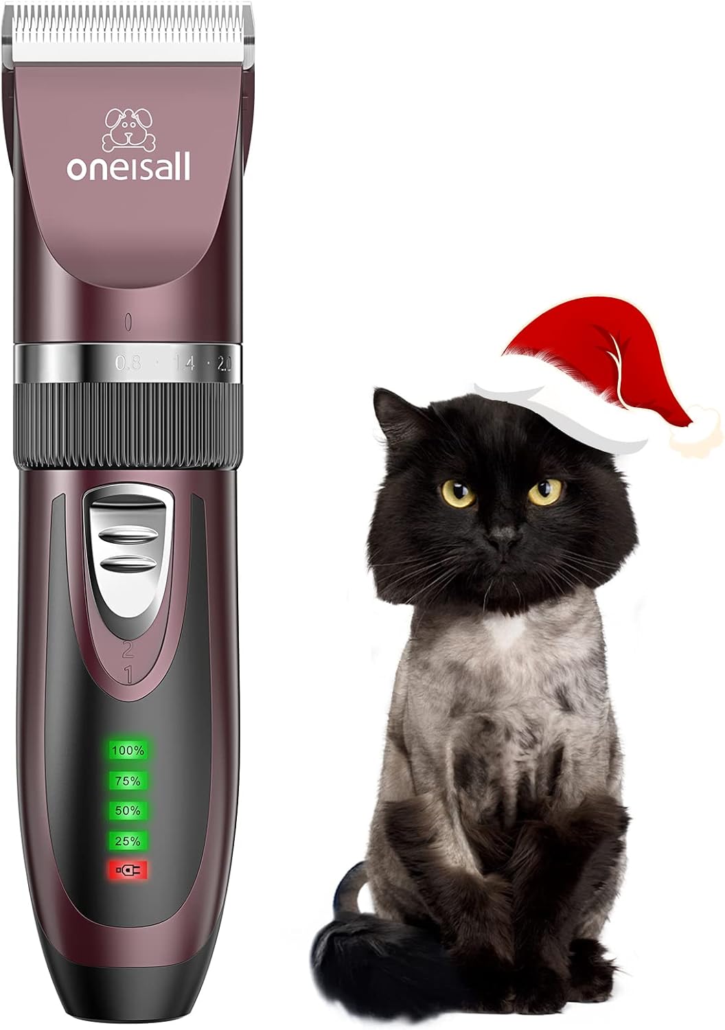 Toilettage chat Tondeuse