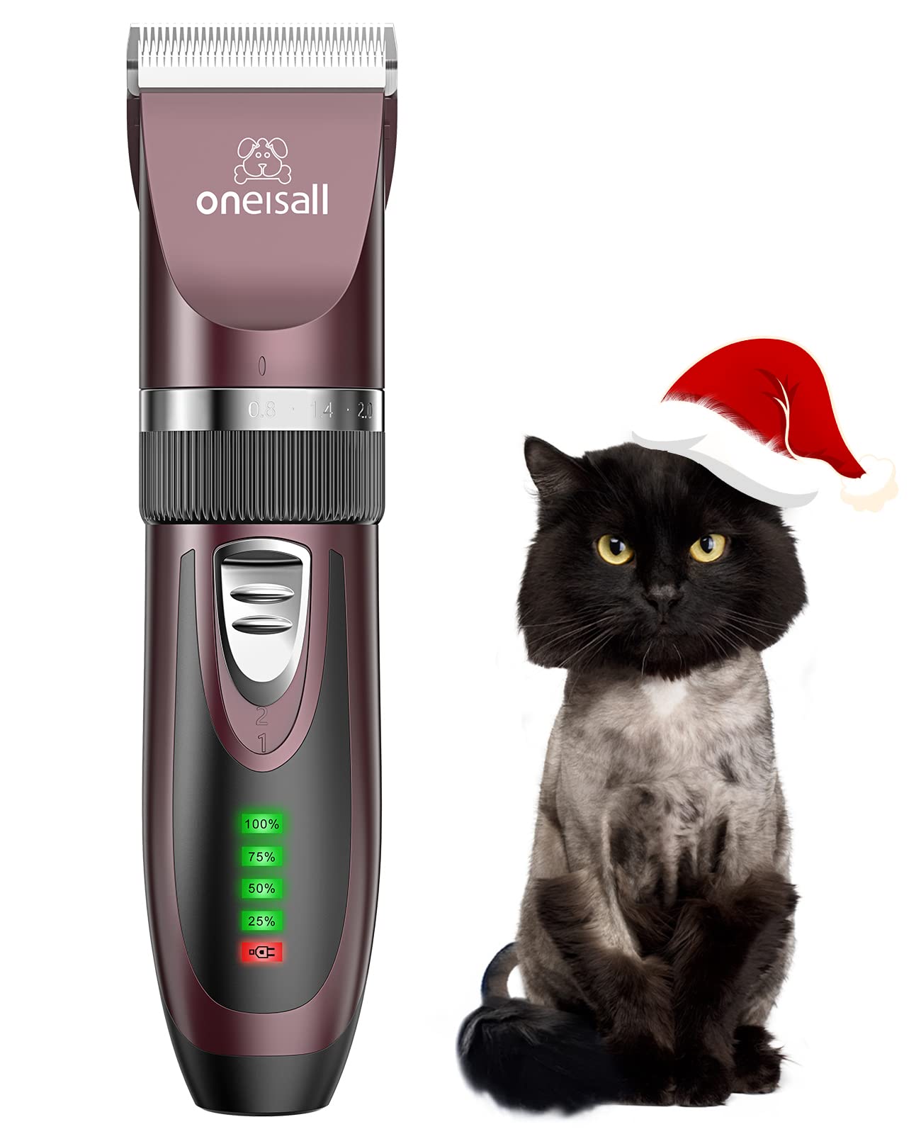 Toilettage chat Tondeuse