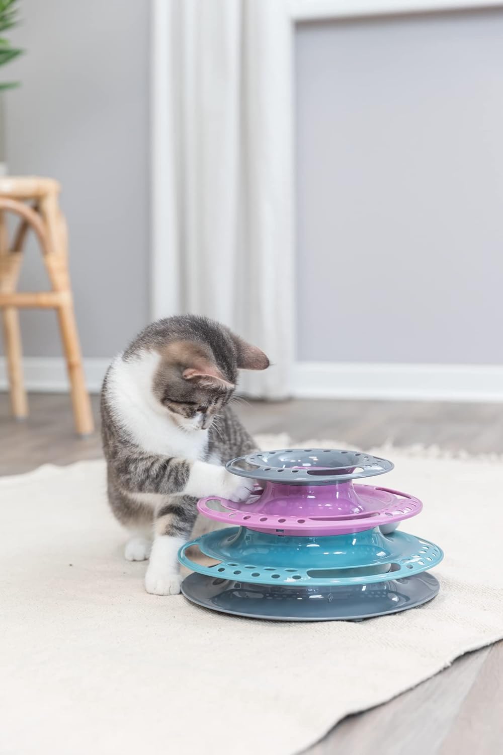Jouet pour Chat Ø 25 × 13 cm