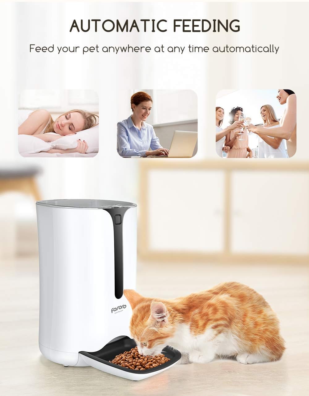 Distributeur Croquettes Chat 7L