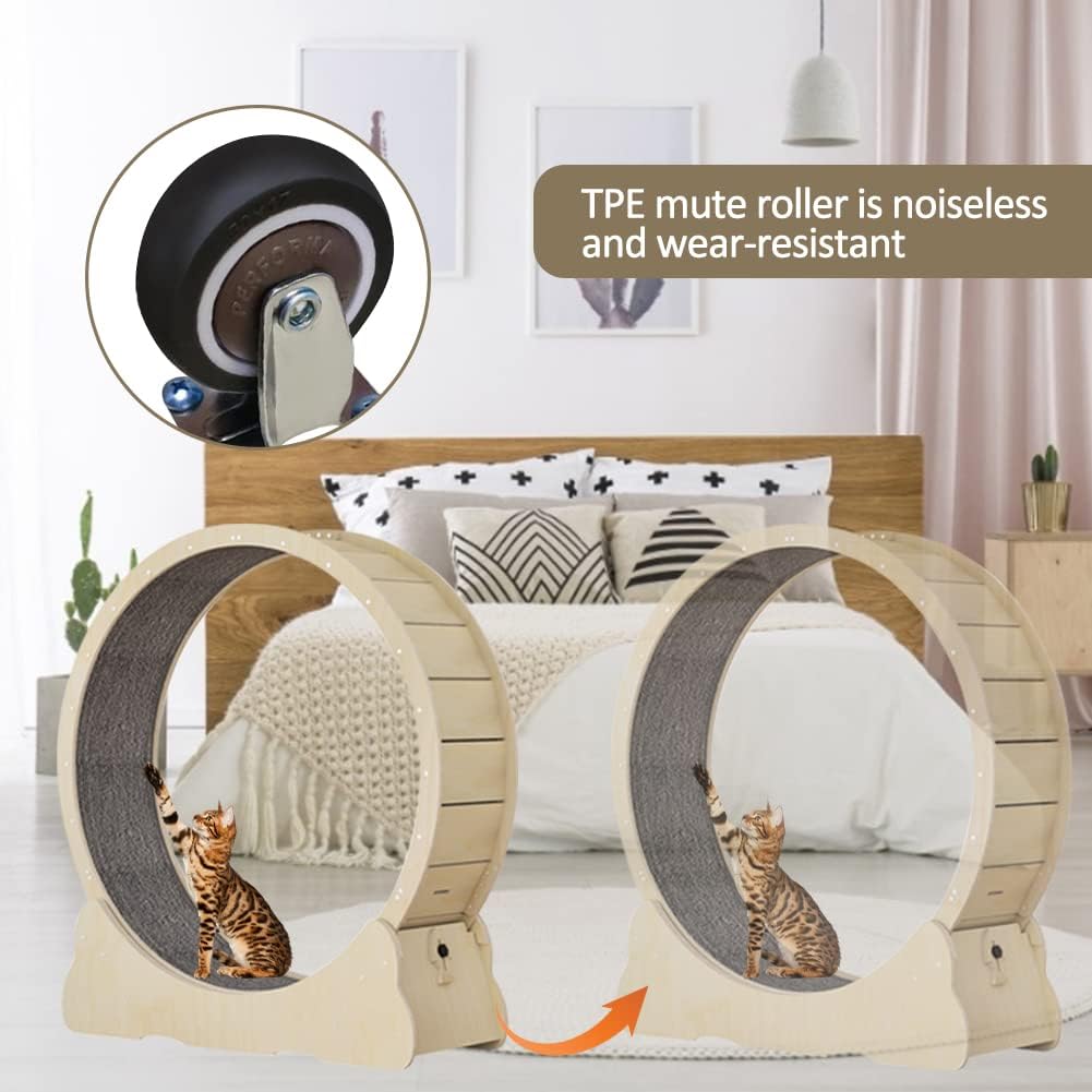 Roue pour Chat avec moquette