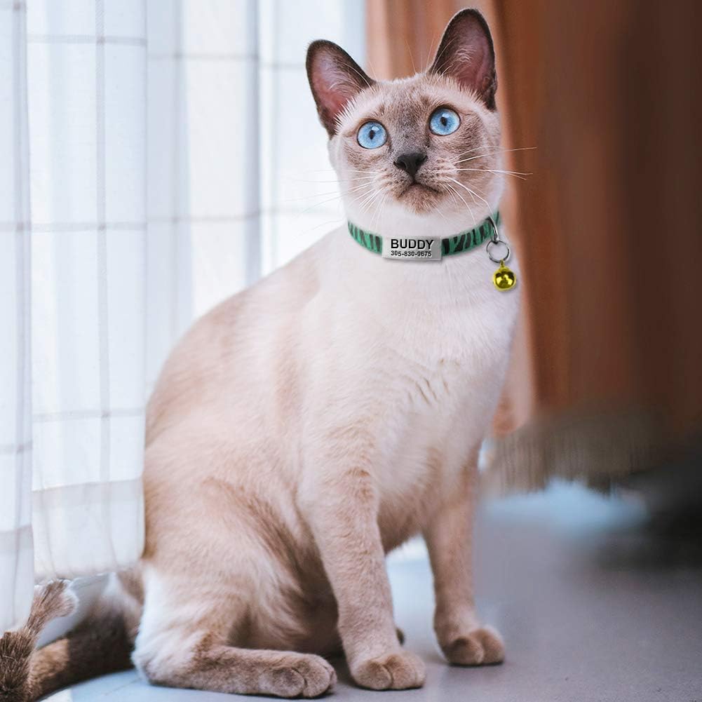 Collier Chat Personnalisable avec Clochette
