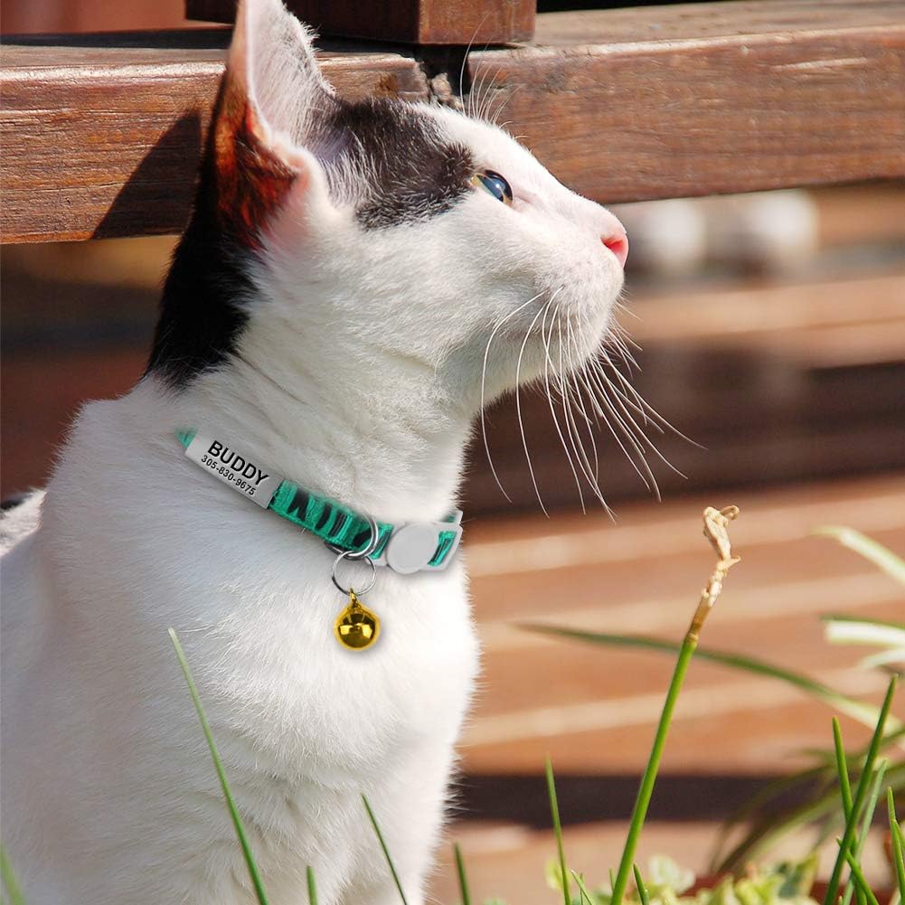 Collier Chat Personnalisable avec Clochette