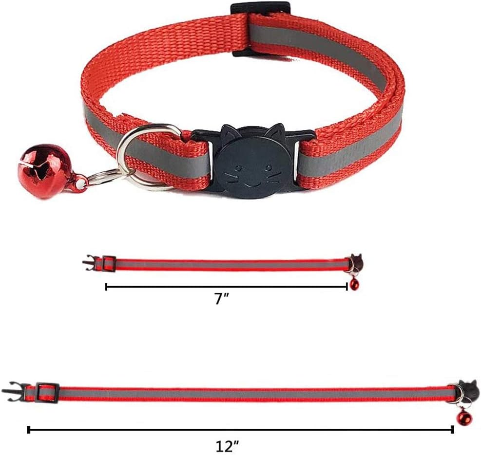 Collier Chat Anti Étranglement