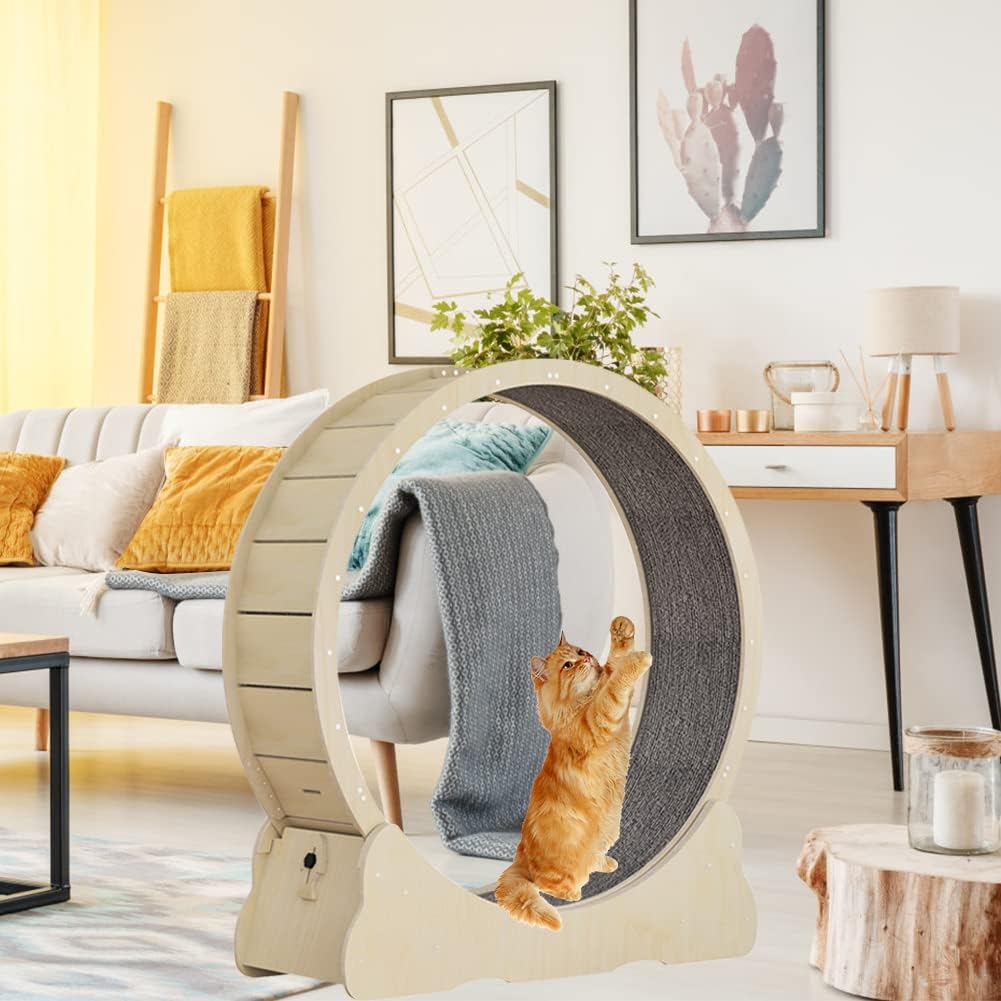 Roue pour Chat avec moquette