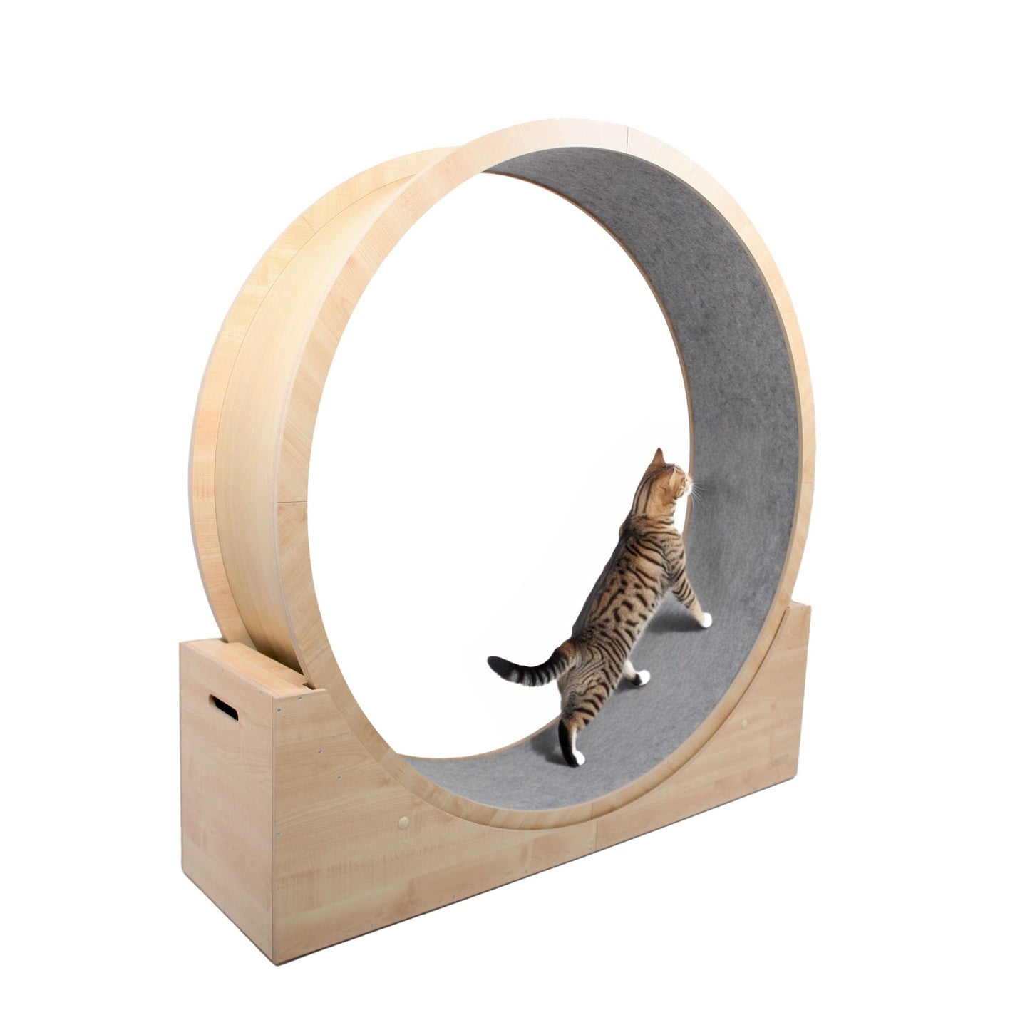 Roue pour Chat 120 cm/140 cm