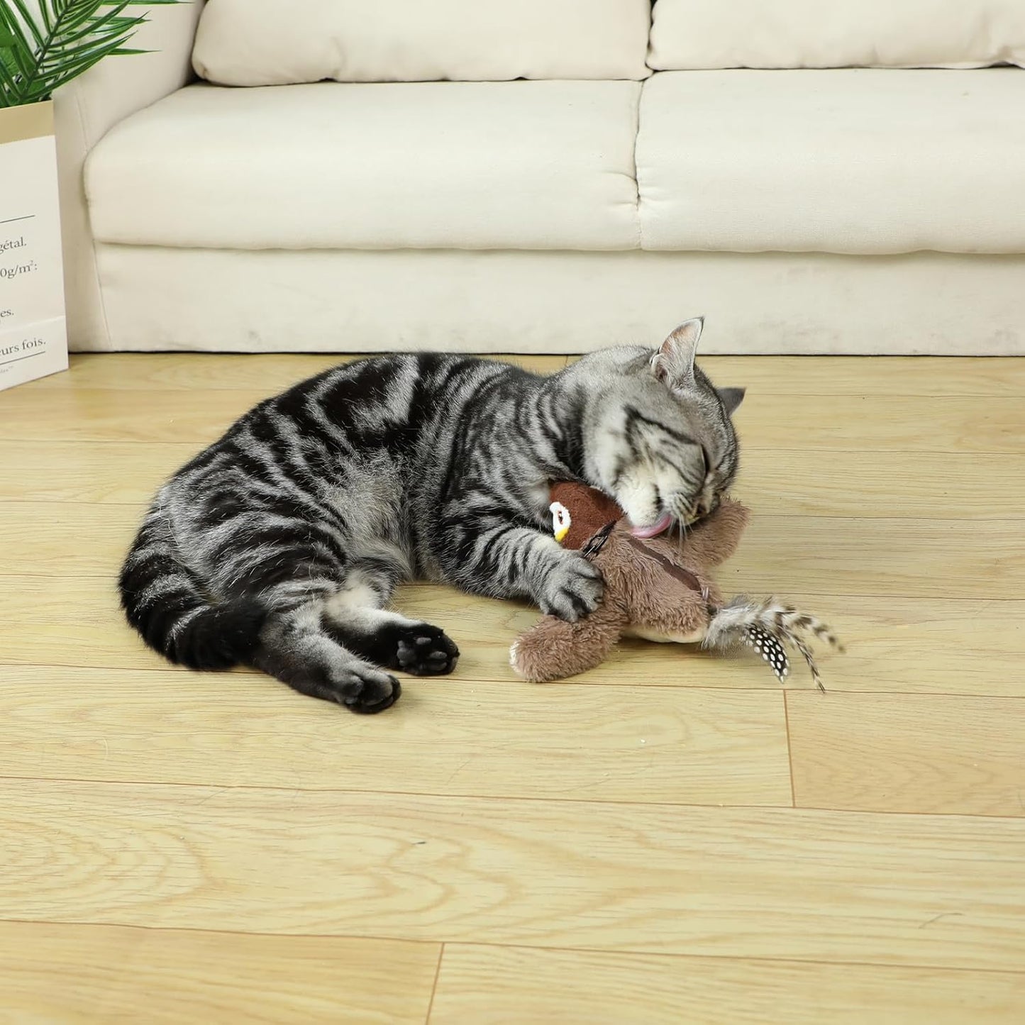 Jouet pour Chat interactif Oiseau