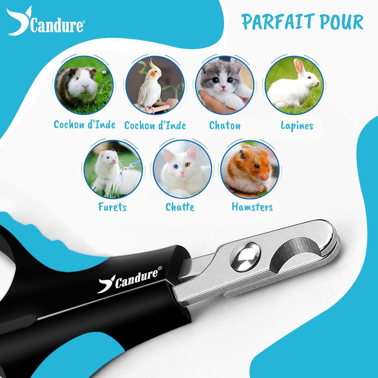 Coupe Griffes Chat