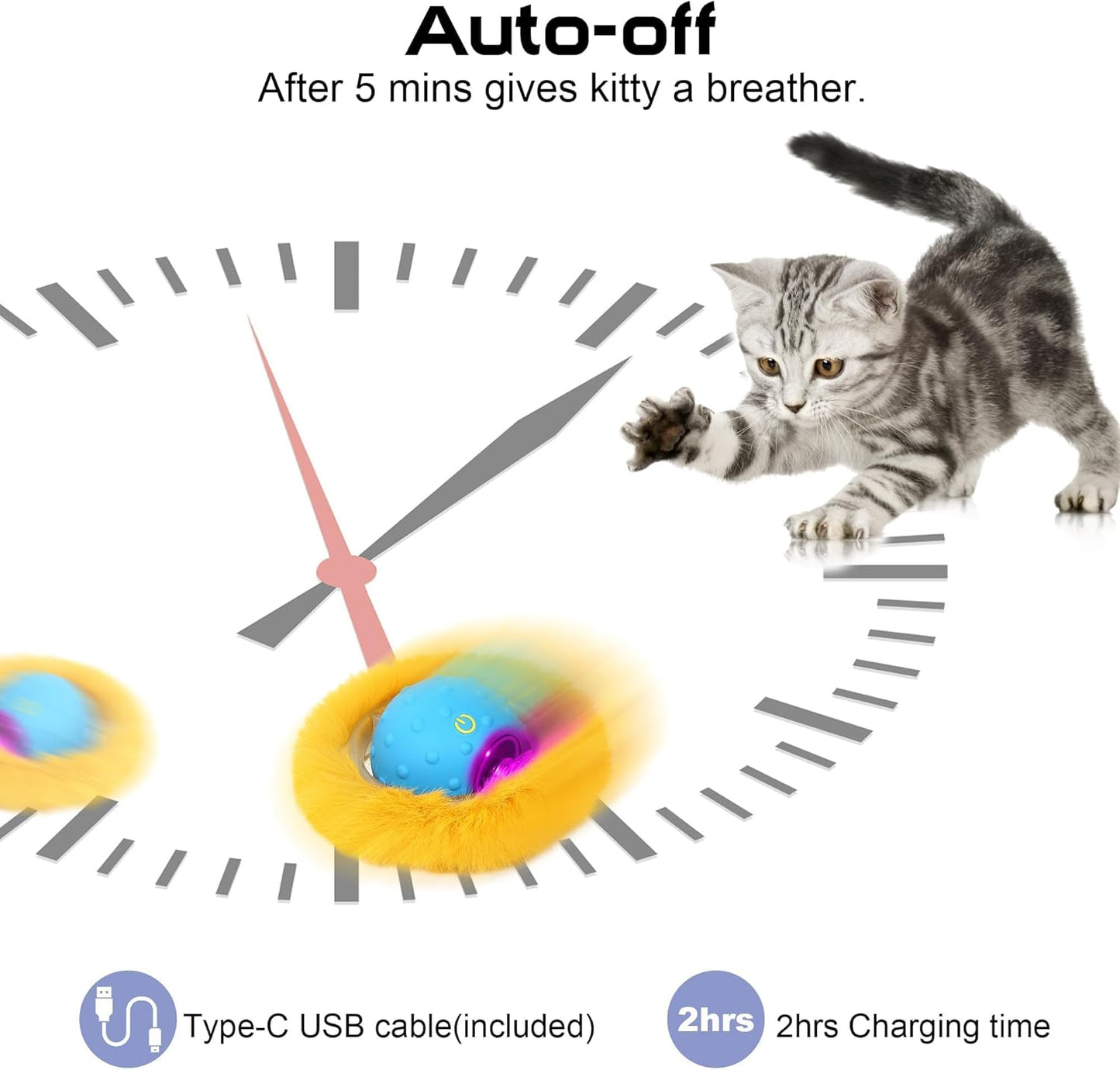 Jouet pour Chat Cache-Cache