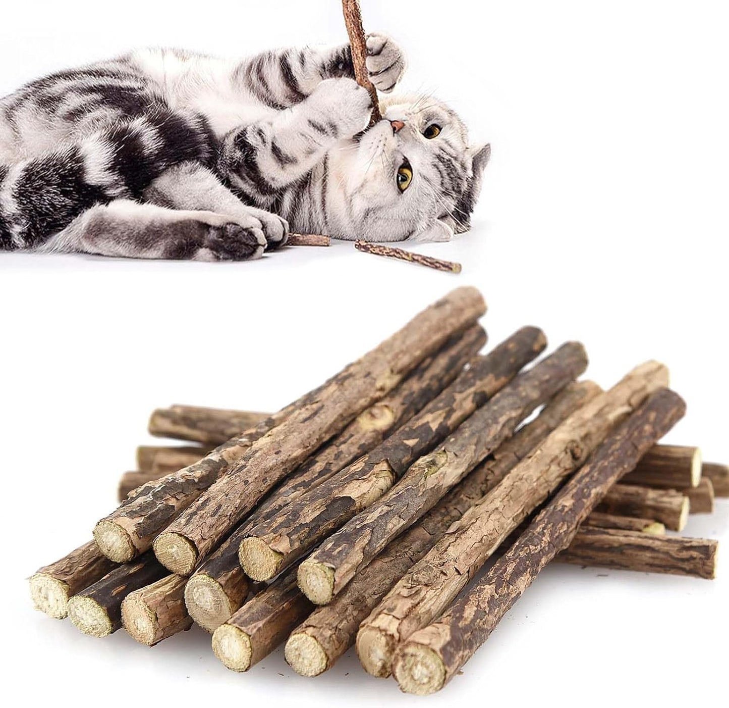 Bâton à Mâcher (30 PCS)
