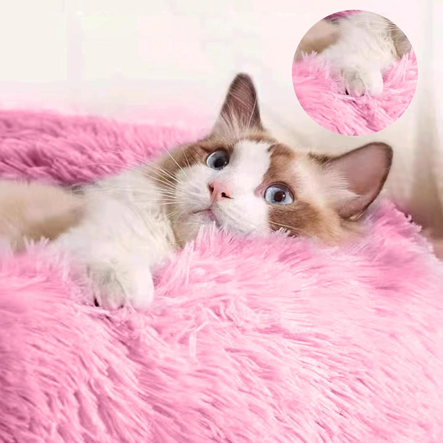 Panier Chat Coussin 60cm