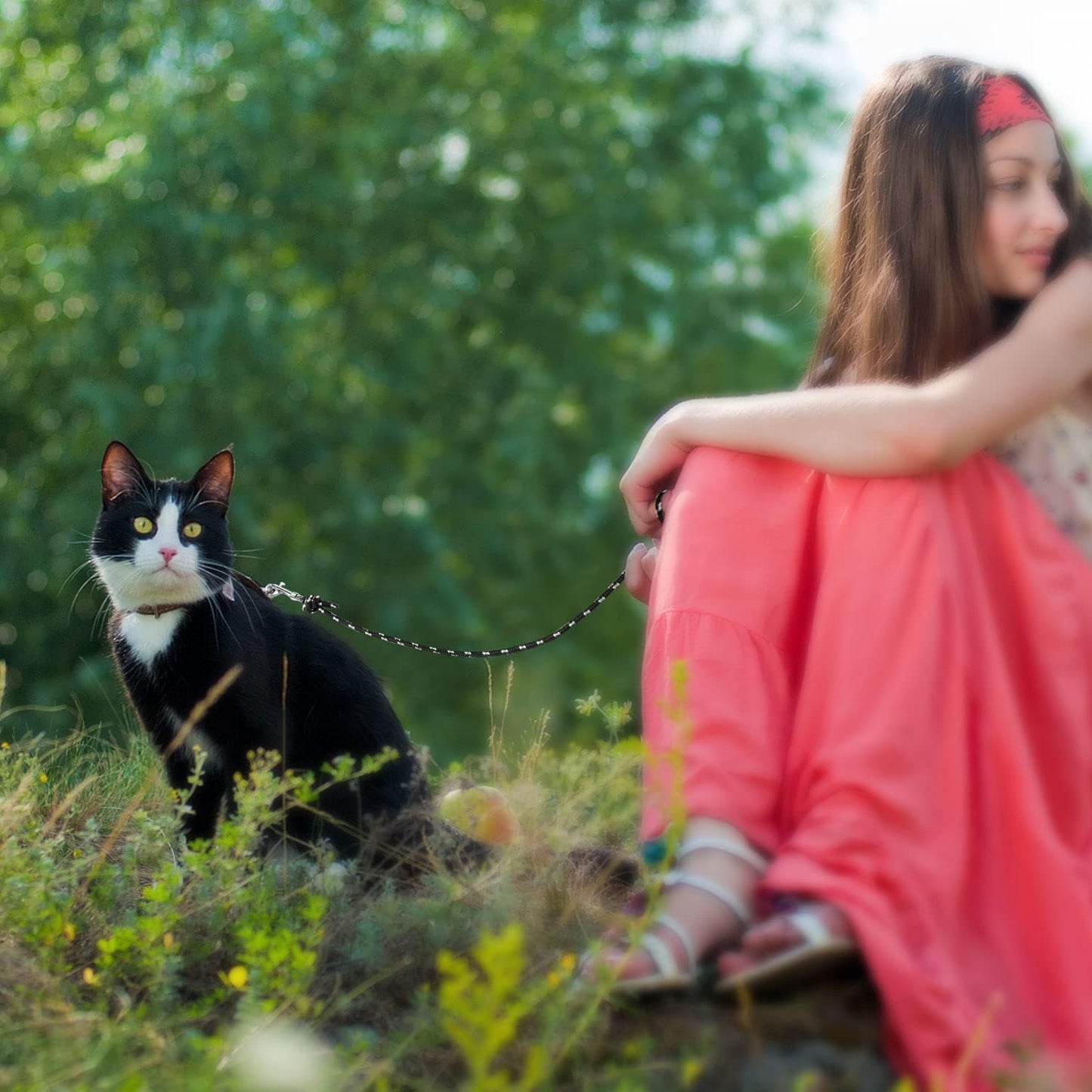Laisse pour Chat 9m