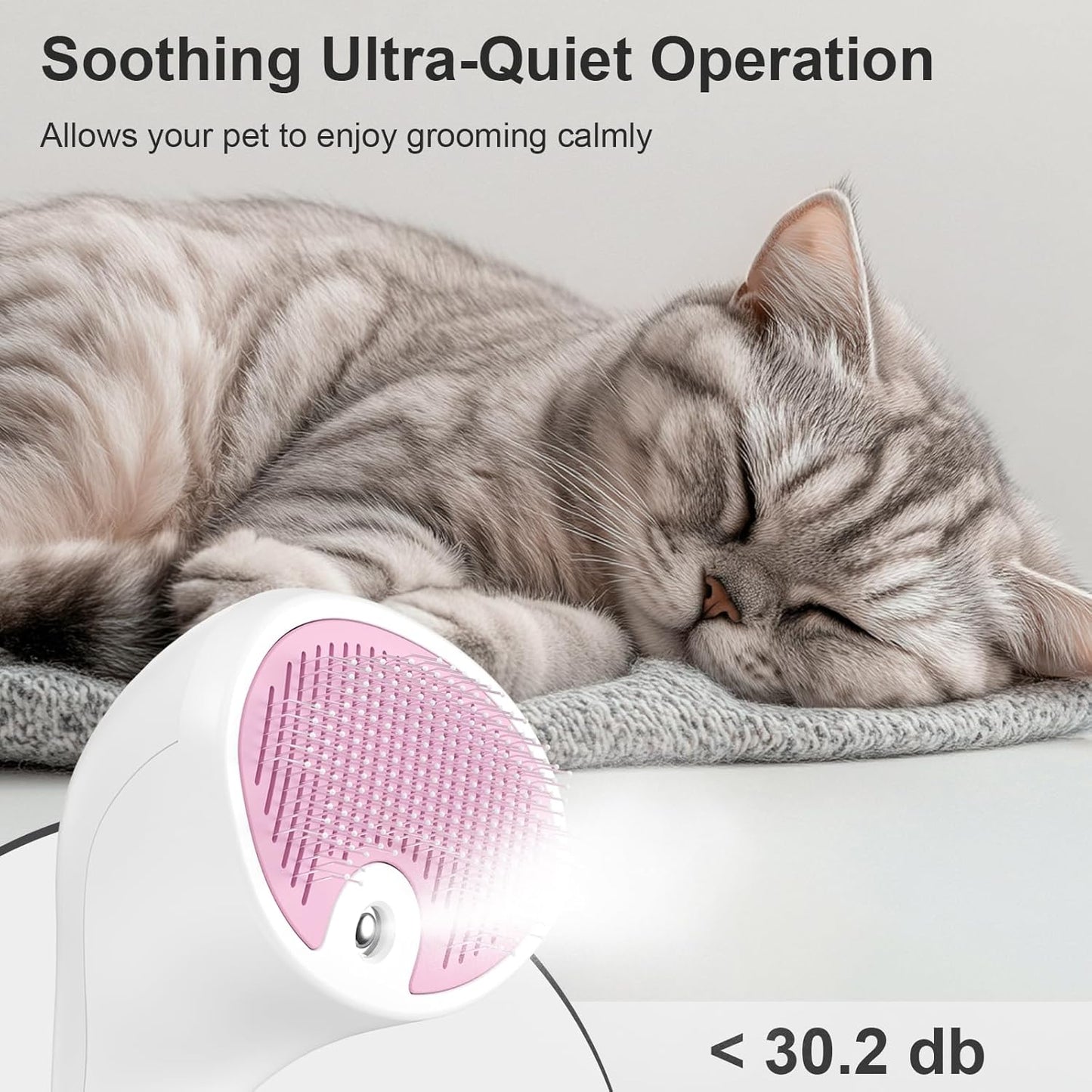 Brosse Chat Vapeur