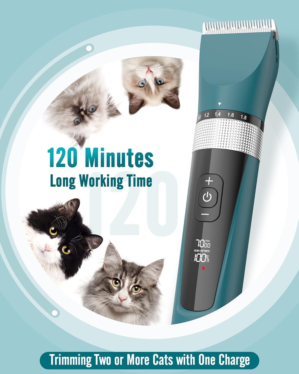 Toilettage chat Tondeuse