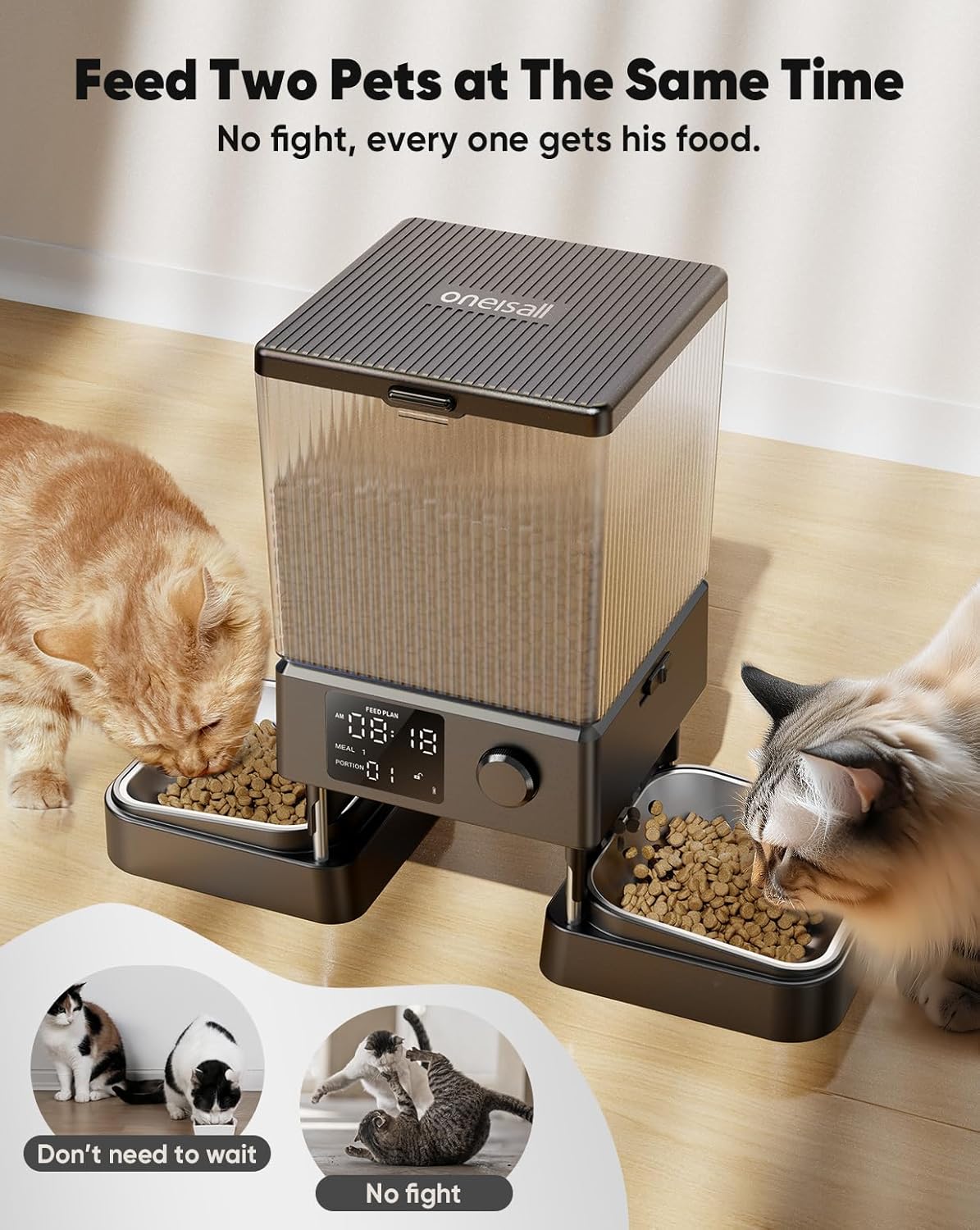 Distributeur Croquettes Chat 5L
