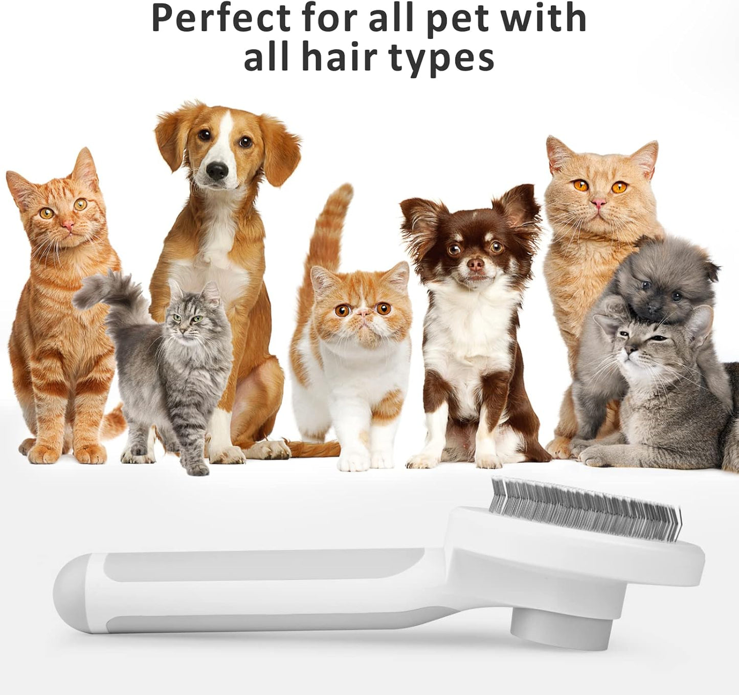 Brosse pour Chat
