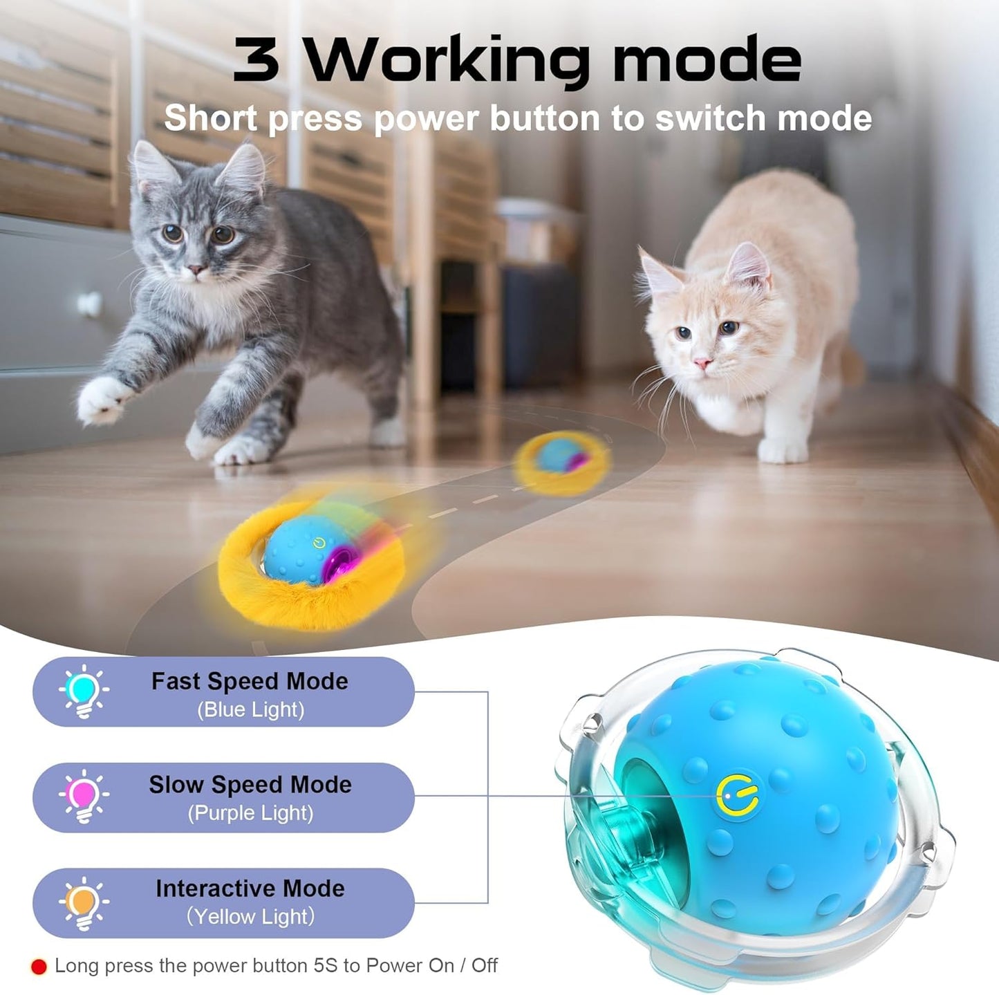Jouet pour Chat Cache-Cache