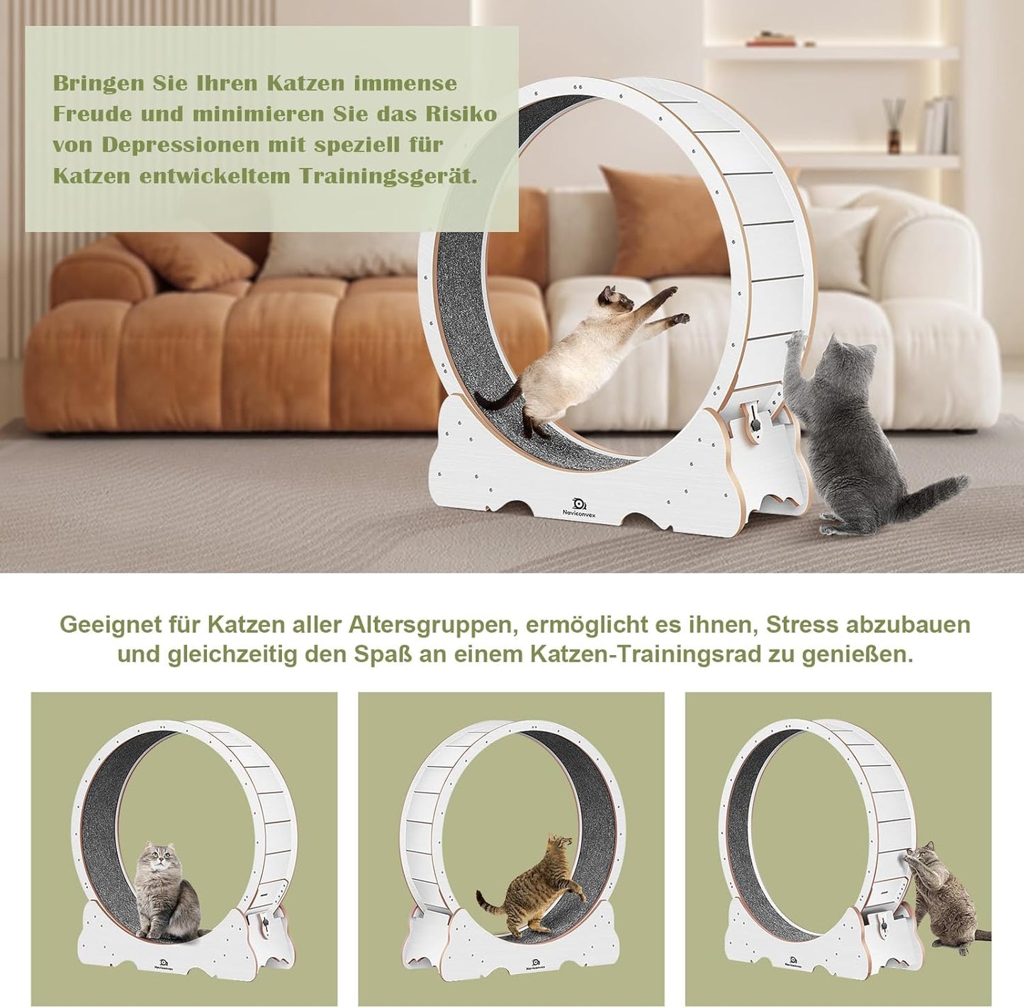 Roue pour Chat 113 cm