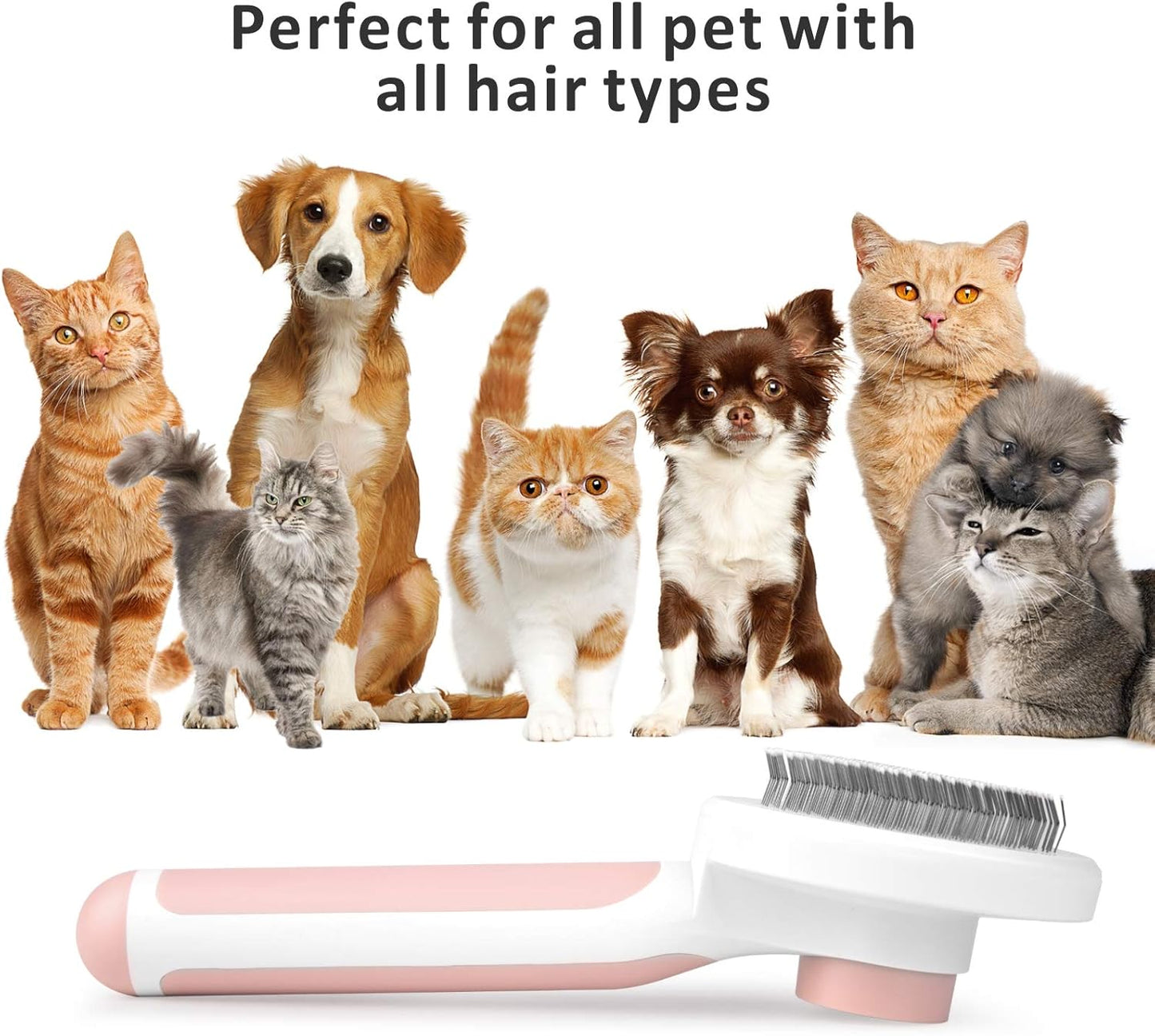 Brosse pour Chat