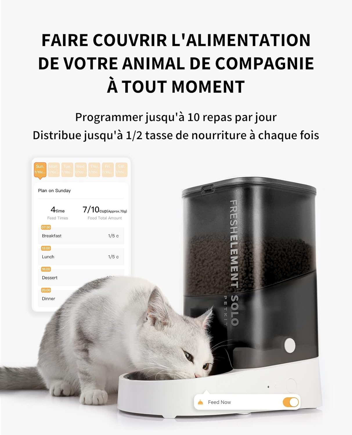 Distributeur Croquettes Chat 3L