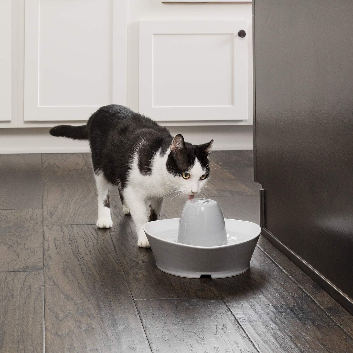 Fontaine à Eau Chat Céramique 1,8L
