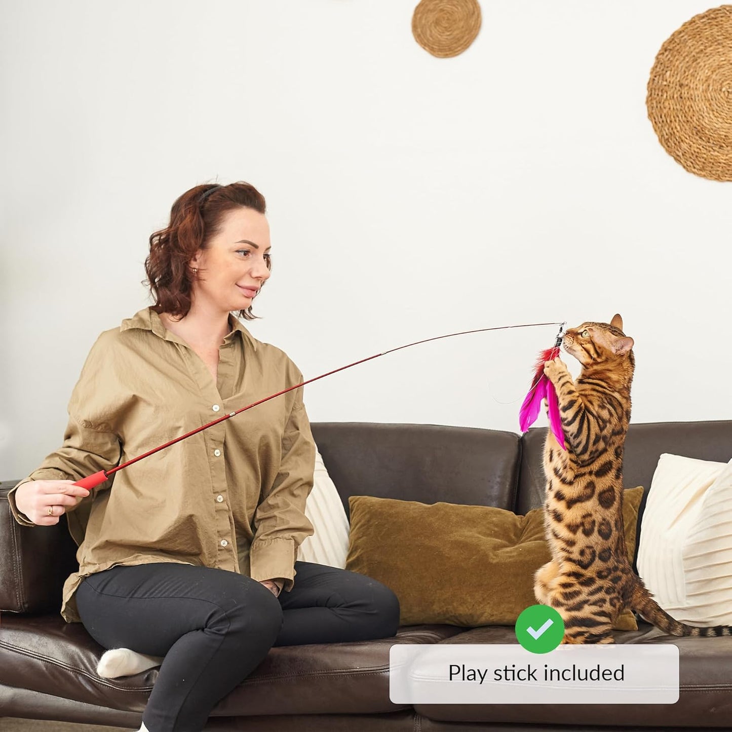 Roue pour Chat, Roue d'exercice