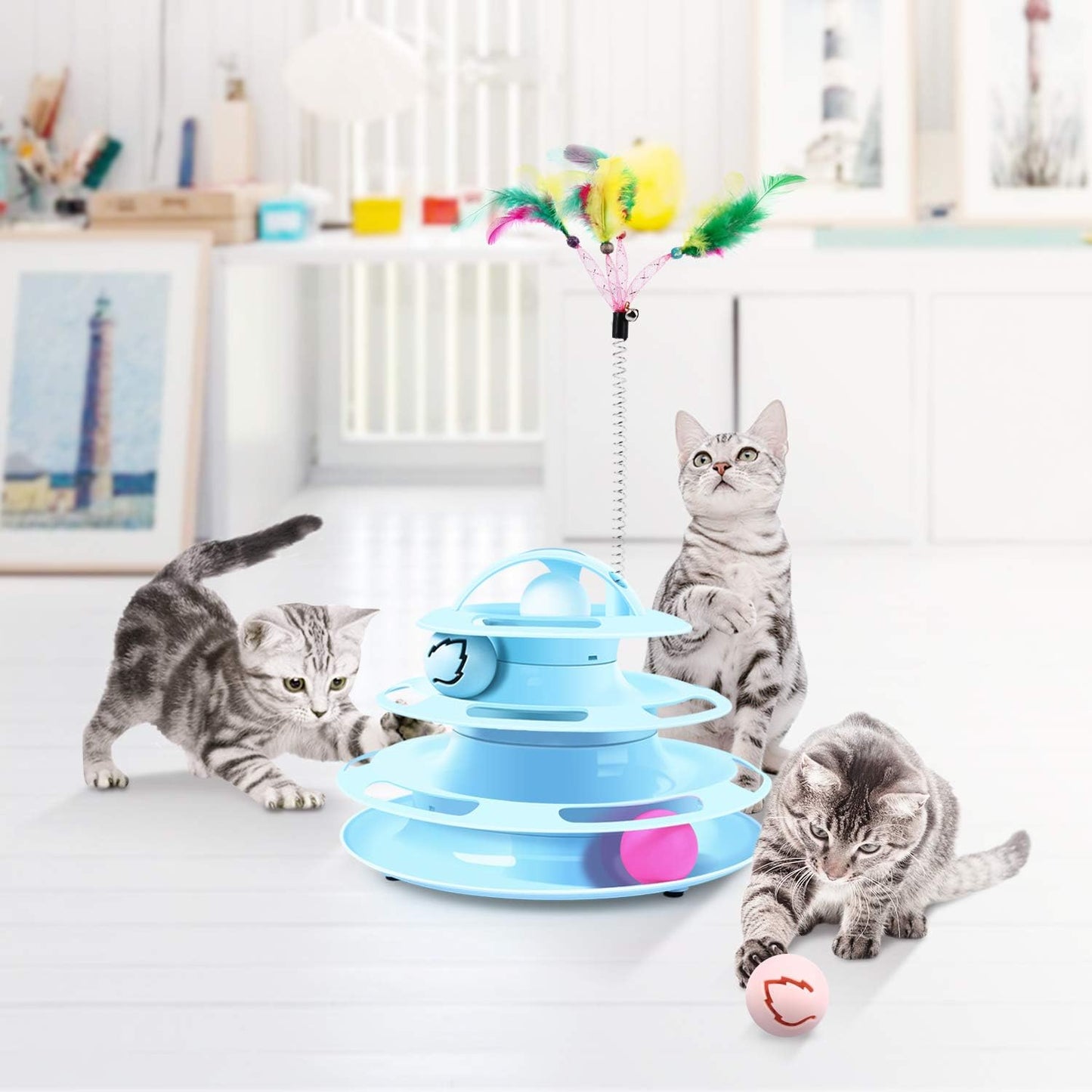 Jouet pour Chat 2 en 1
