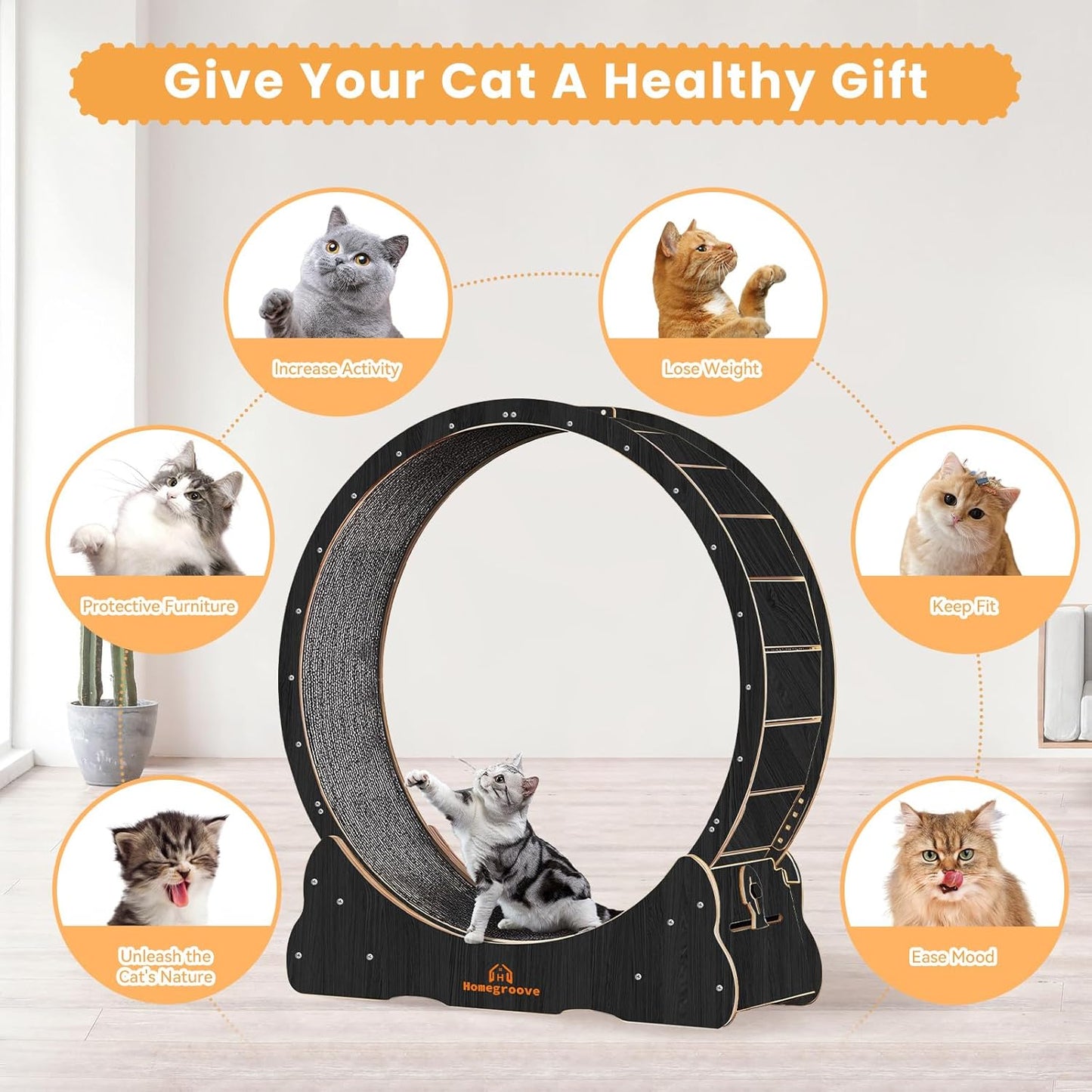 Roue pour Chat 110 cm