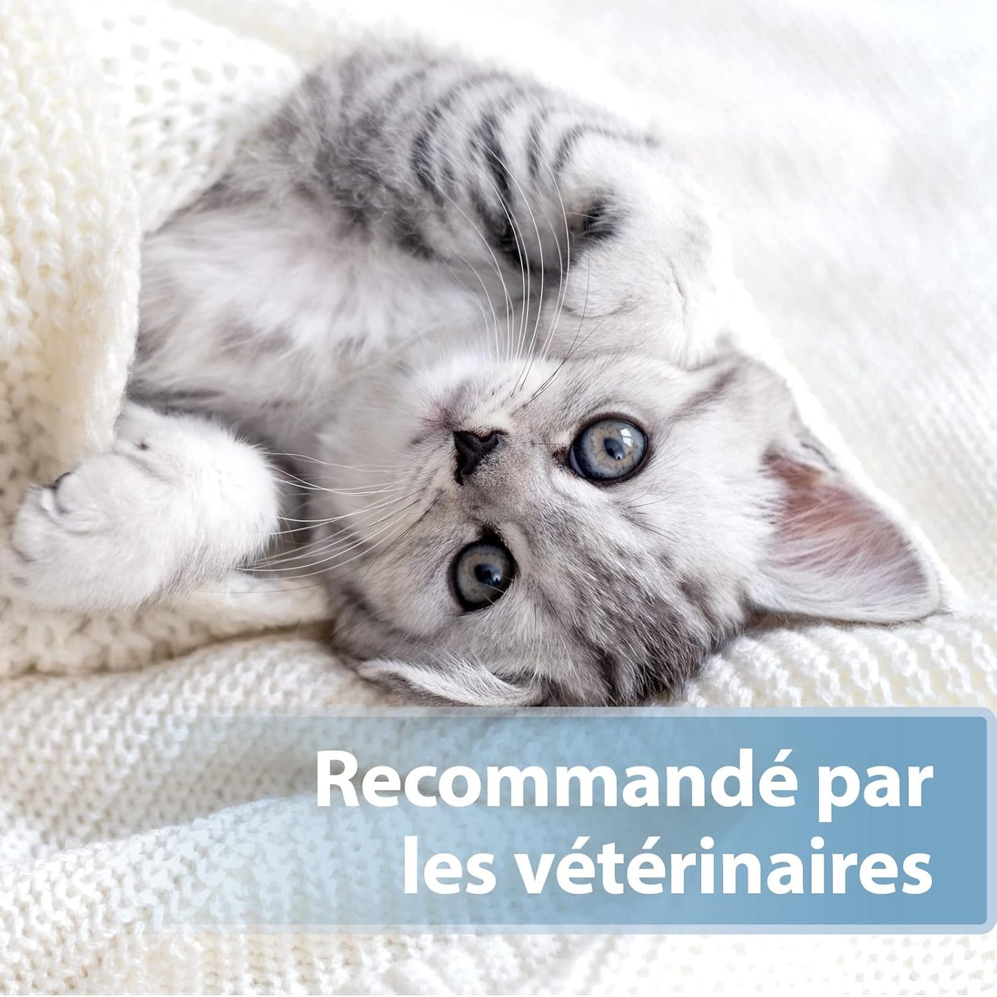 Lingette pour Chat Doigtiers De Soin Auriculaire 50 pcs