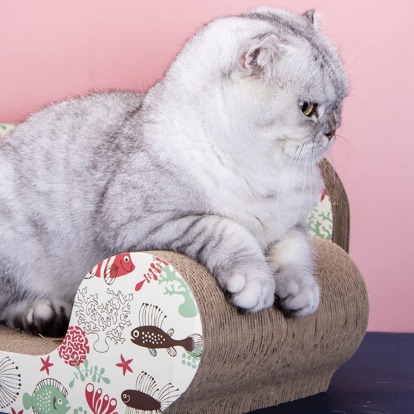 Griffoir Chat Zone de Repos